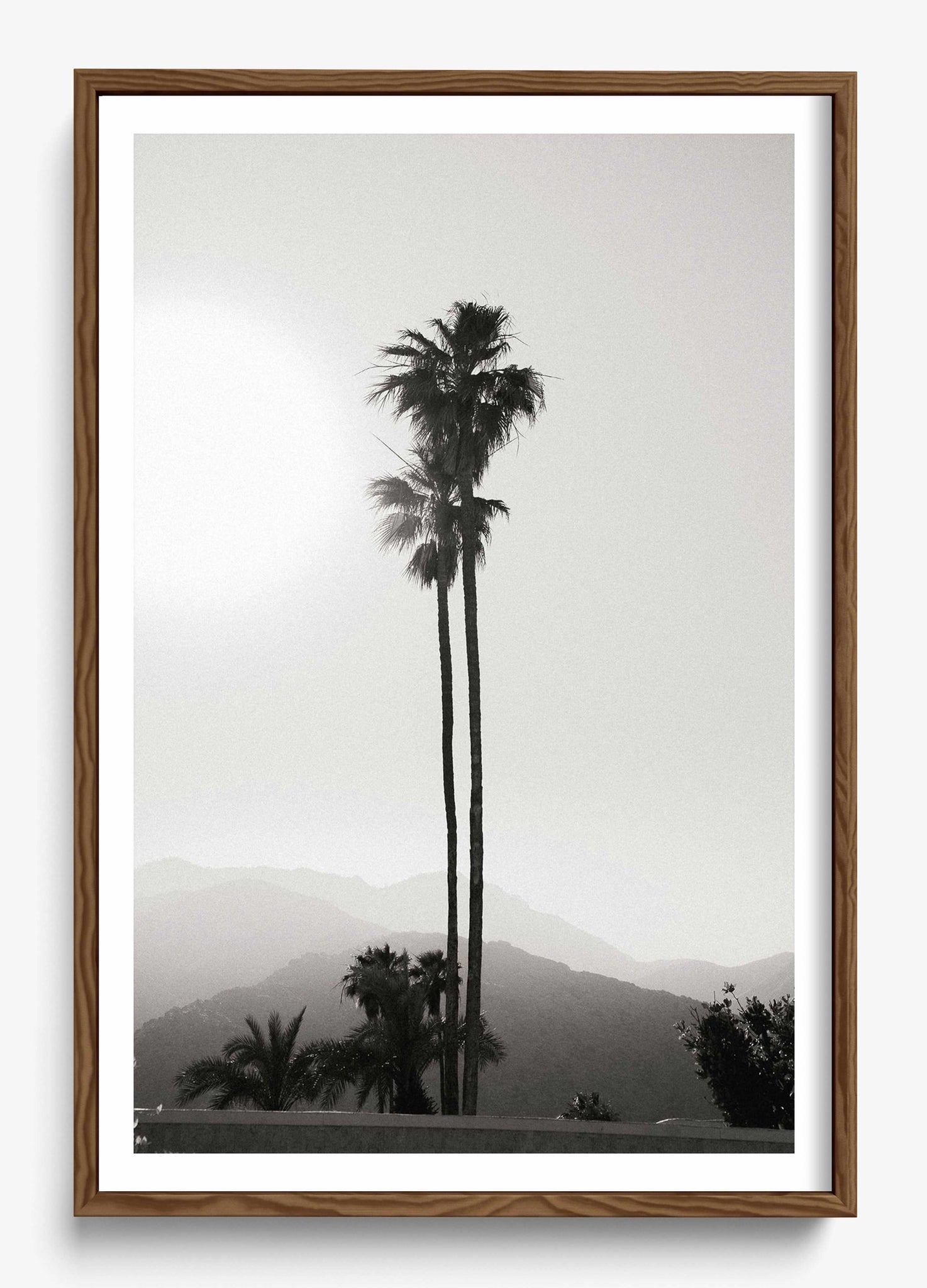 Twinning Palms