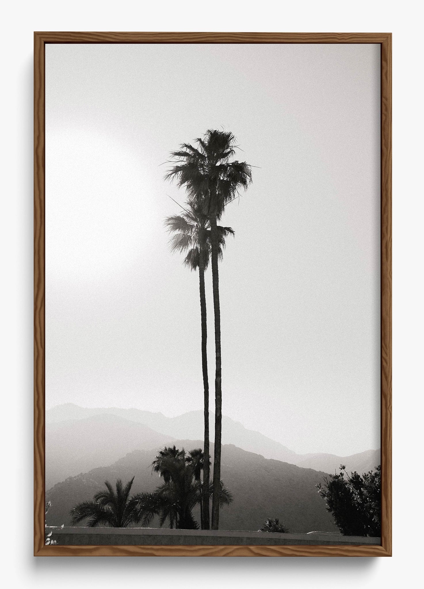 Twinning Palms