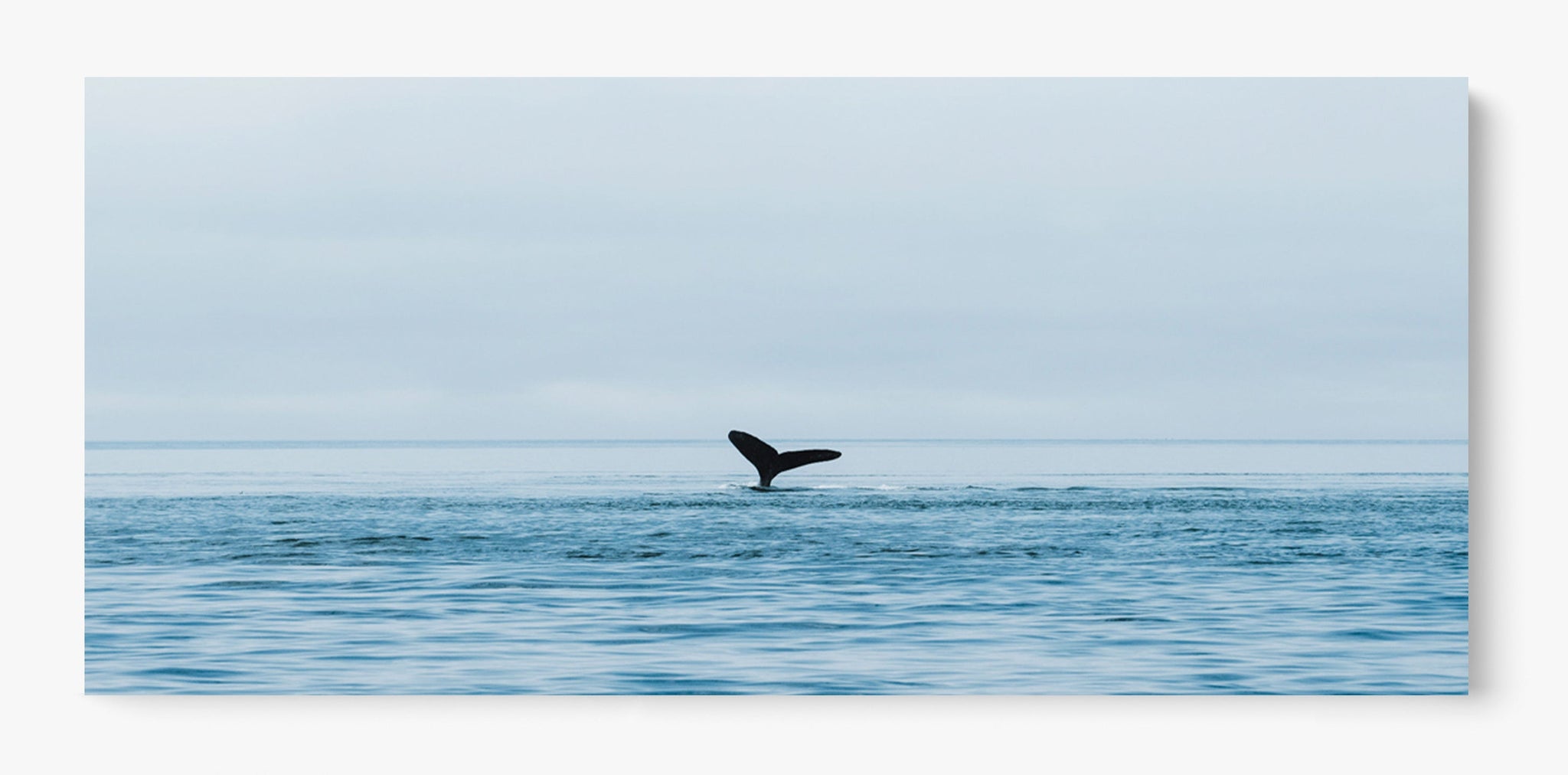 Venture Out Unframed