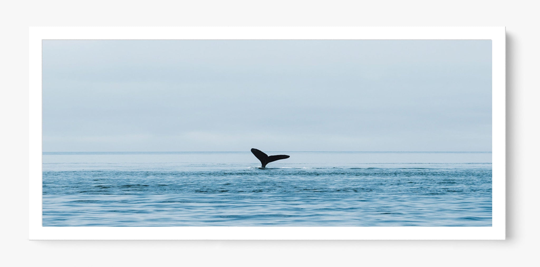 Venture Out Unframed