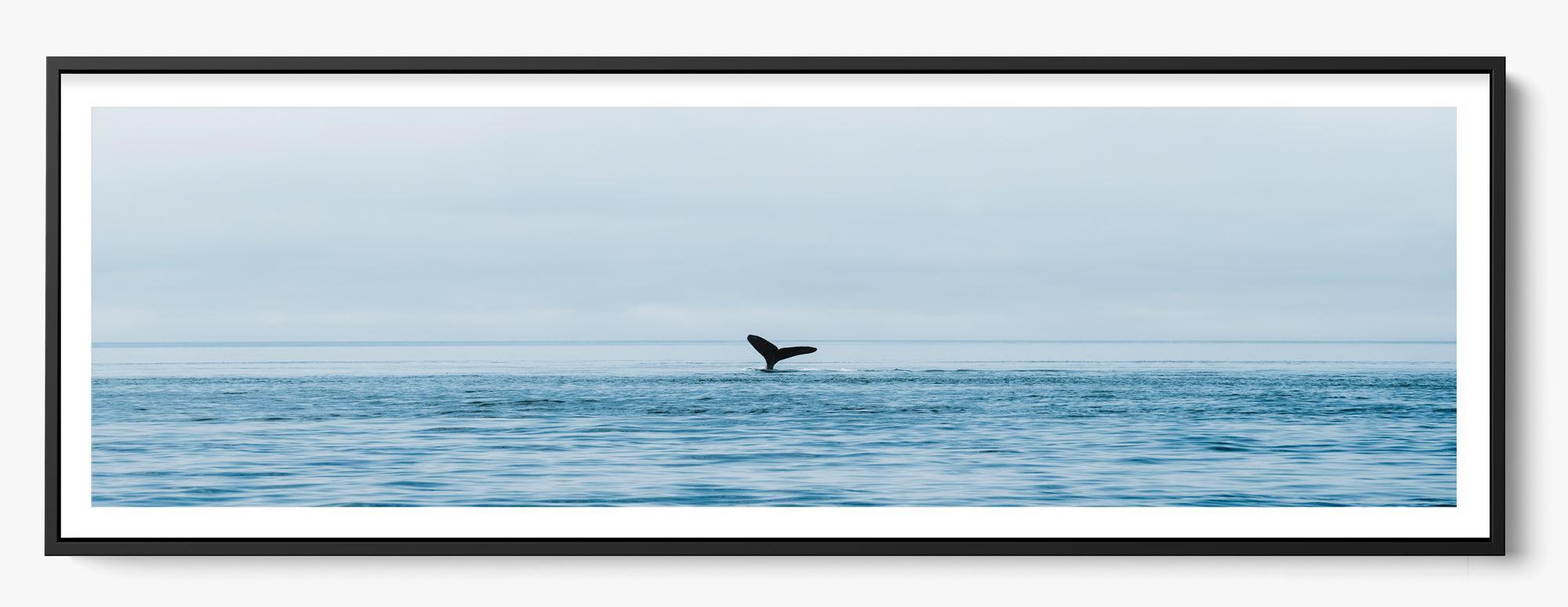 Venture Out unframed fine art print