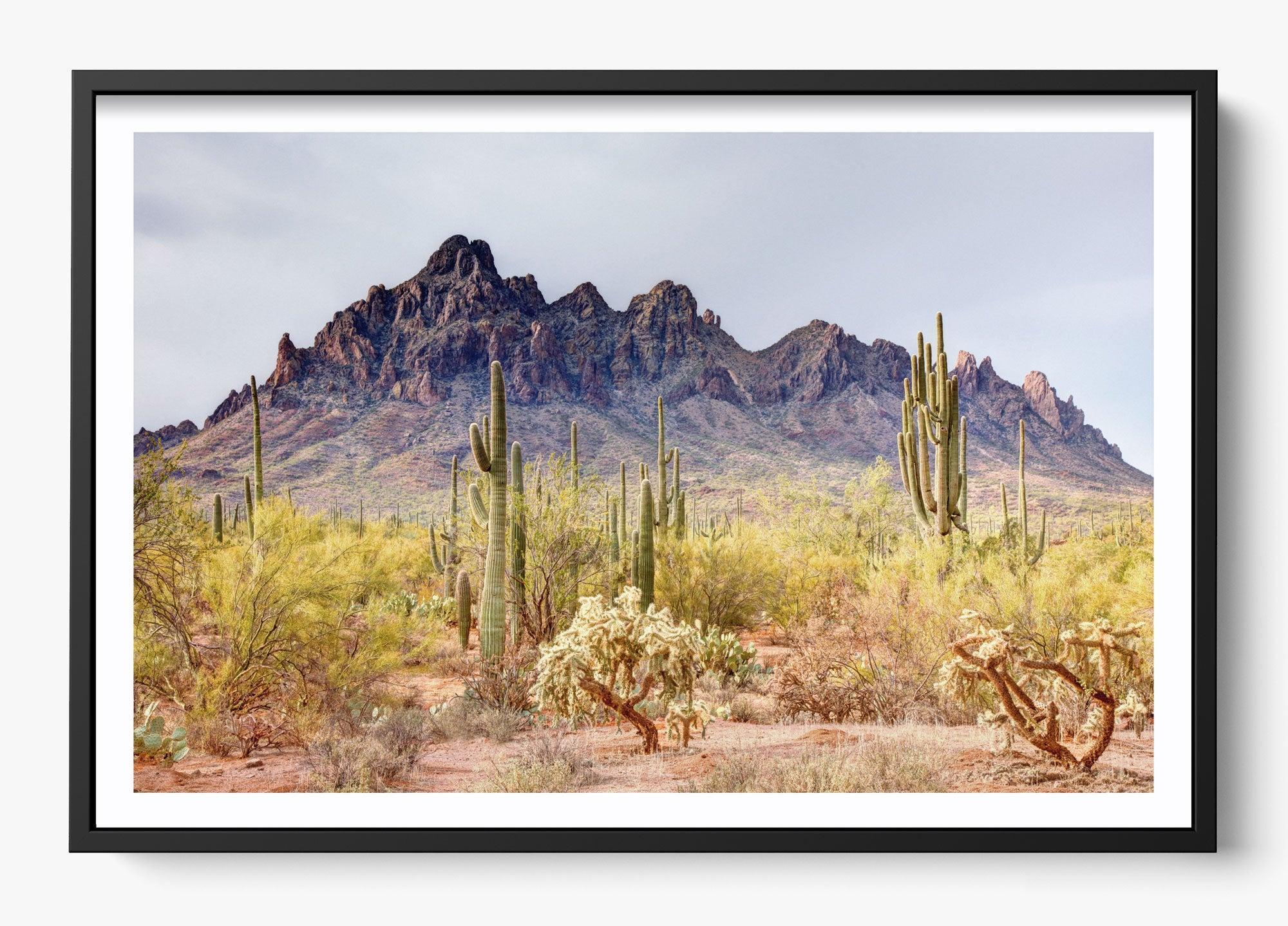 I'd Hike That – H E L M + O A R