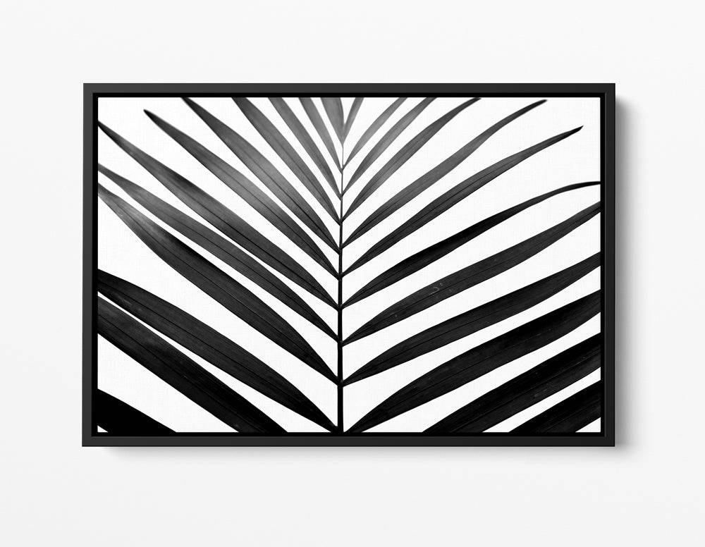 Black & White Palms - H E L M + O A R