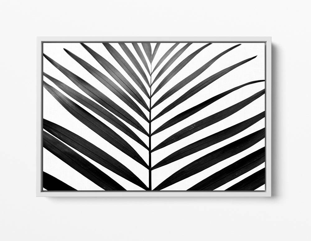 Black & White Palms - H E L M + O A R