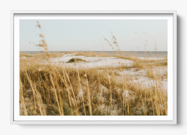 On The Dunes in a White frame