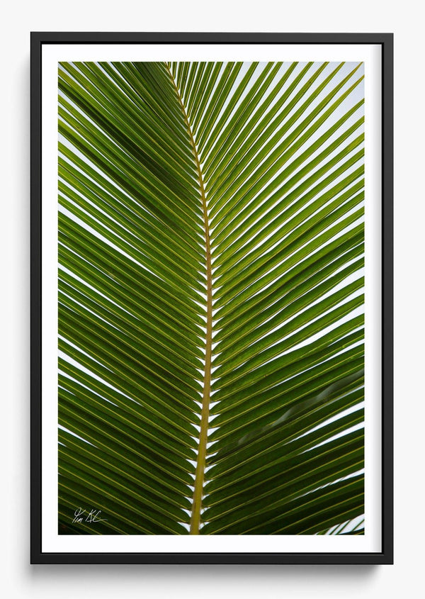 Outstretched in a Black frame