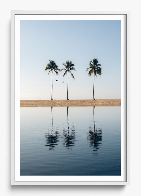 Stick Together in a White frame